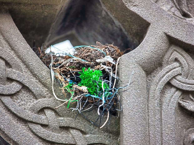BIRD'S NEST The Celtic cross is deeply intertwined with early Irish Christianity, which was predominantly Catholic.