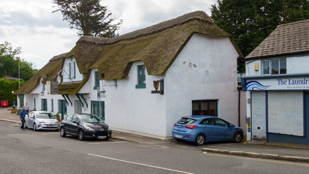 STILLORGAN ORCHARD AUGUST 2022