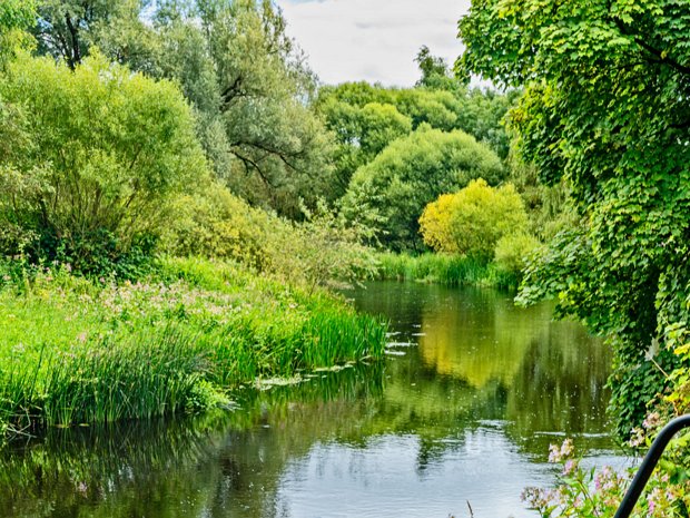 MY AUGUST 2024 VISIT TO NEWBRIDGE Located in County Kildare, Ireland, Newbridge enjoys a strategic location along the banks of the River Liffey. Its roots...