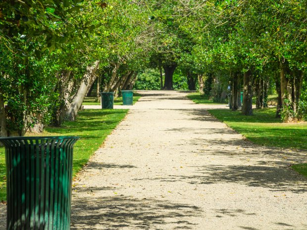 IVEAGH GARDENS Located in the heart of Dublin, the Iveagh Gardens stands as a testament to Victorian landscape design, a tranquil oasis...