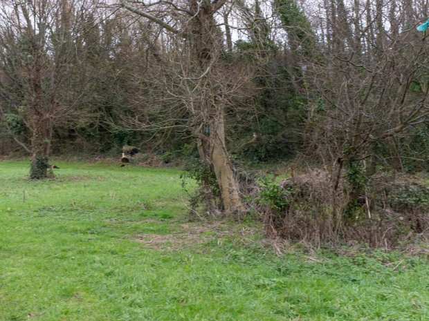 LIFFEY PARK Among these urban green spaces is Liffey Park, a picturesque stretch along the River Liffey that meanders through...