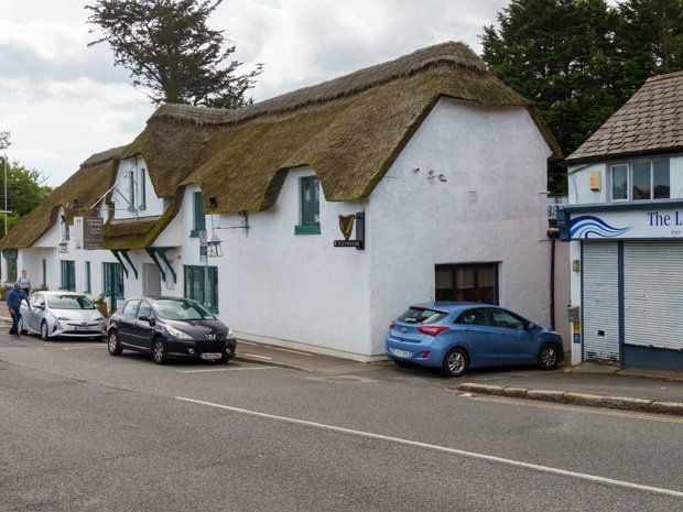 STILLORGAN ORCHARD AUGUST 2022