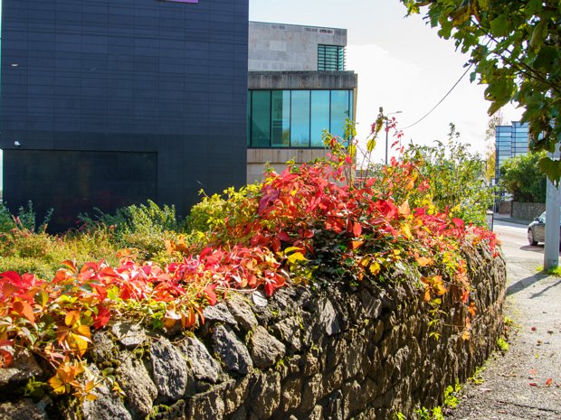 AIB BANK CORNELSCOURT