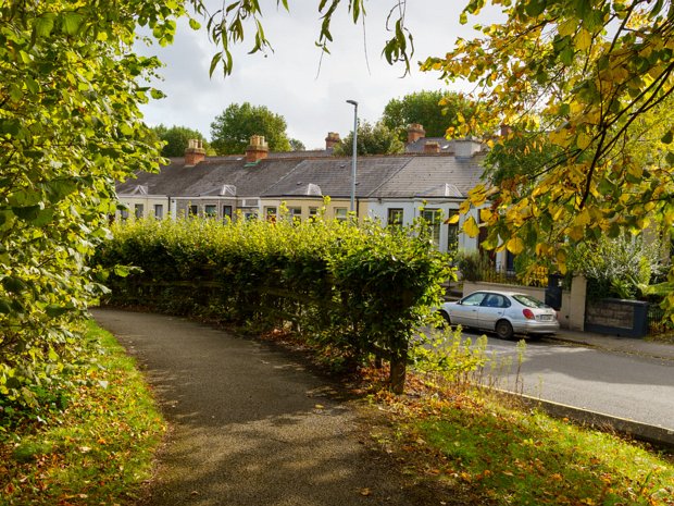 BOTANIC AVENUE