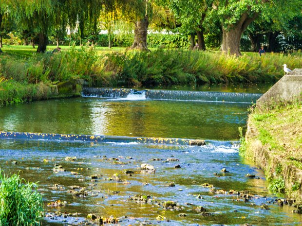 TOLKA RIVER