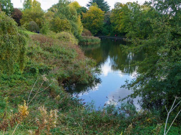 THE DUCK POND Some online sources do claim that the pond was created by a bomb dropped during World War II. However, this is not quite...