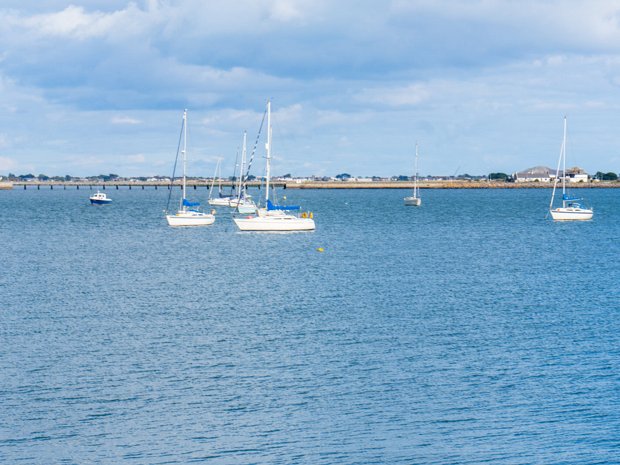 TOLKA ESTUARY GREENWAY Tolka Estuary Greenway is a specific section of the Dublin Port Greenway, running along the northern edge of the port,...