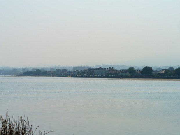 IRISHTOWN NATURE PARK Irishtown Nature Park, situated along the Poolbeg Peninsula, is a man-made haven for nature enthusiasts, offering a...