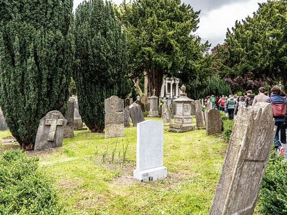 GOLDENBRIDGE CEMETERY MAY 2019 Today I got the opportunity to visit this historic cemetery