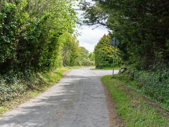 LEHAUSTOWN LANE MAY 2019 May 2019 visit to Lehaustown Lane
